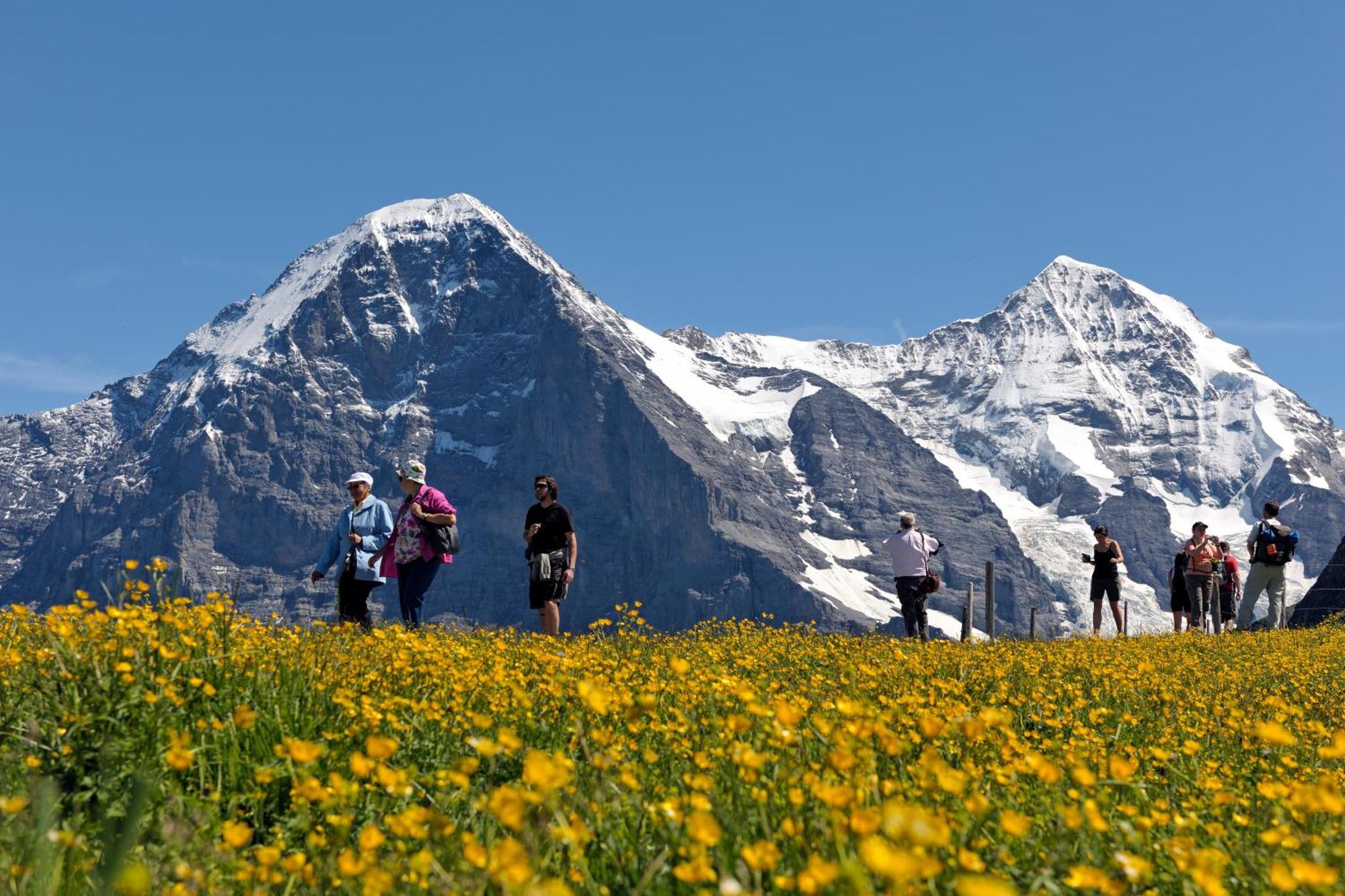 Parkhotel Schoenegg Grindelwald Exteriér fotografie