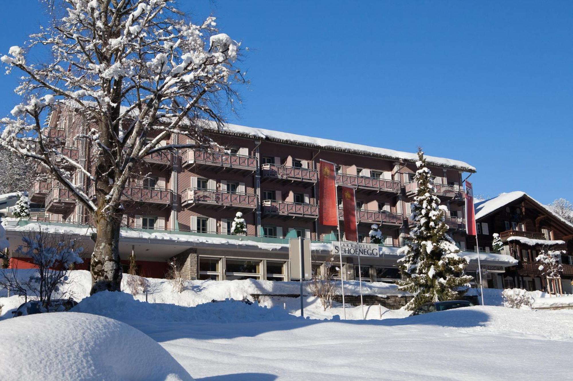 Parkhotel Schoenegg Grindelwald Exteriér fotografie