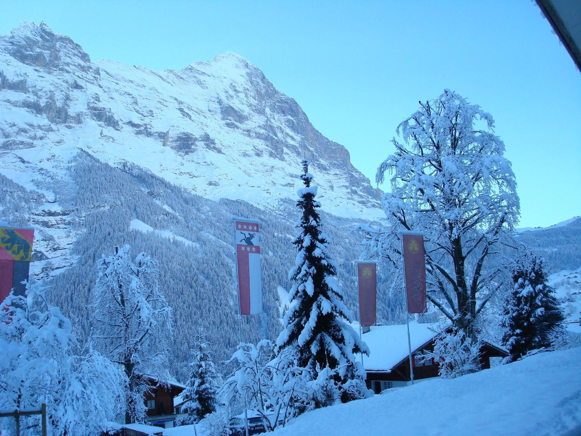 Parkhotel Schoenegg Grindelwald Exteriér fotografie